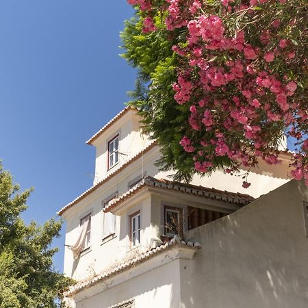 Duplex No Centro Historico De Lisboa - Ttl321アパートメント エクステリア 写真
